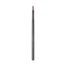 Lip Brush
